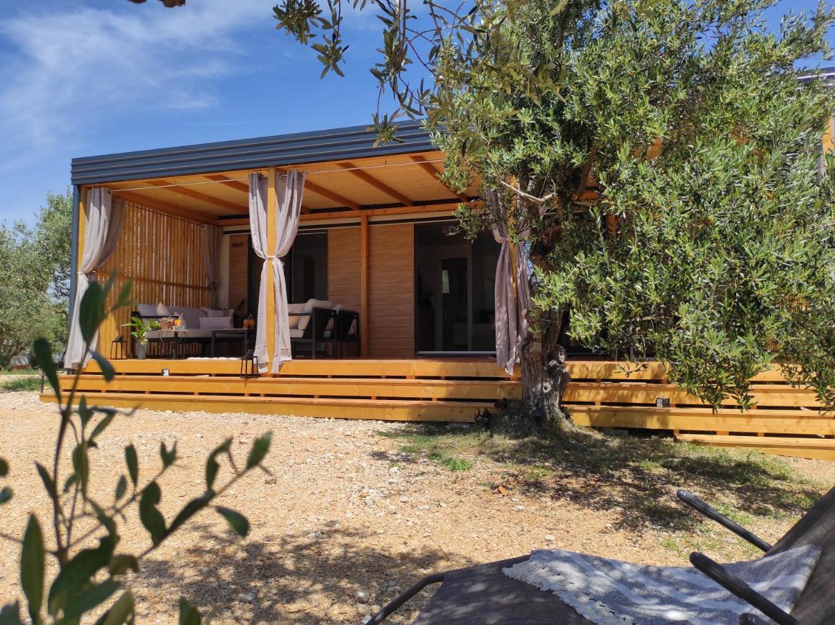 Zen Zone Premium Mobile Home Драге Екстериор снимка